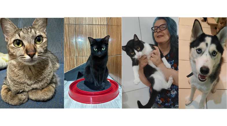 Protetora dá dicas práticas para a saúde dos pets no Instagram